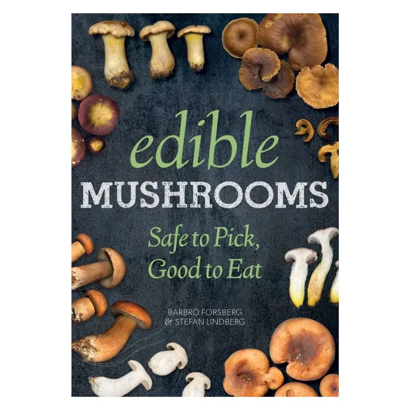 Gourmet Wild And Cultivated Edible Mushroom Varieties 1
